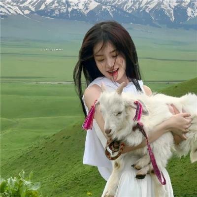 恶搞之家第十五季
